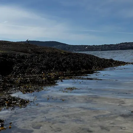 Familyhome For 8 People - 4 Bedrooms - 10min From Center Lägenhet Bergen