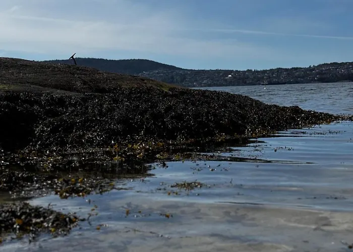 Familyhome For 8 People - 4 Bedrooms - 10min From Center Lägenhet Bergen